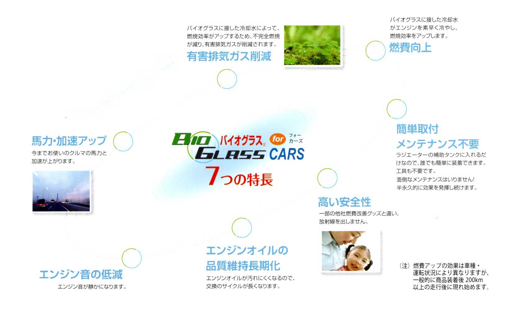 BioGlass for CARS（バイオグラス フォーカーズ）